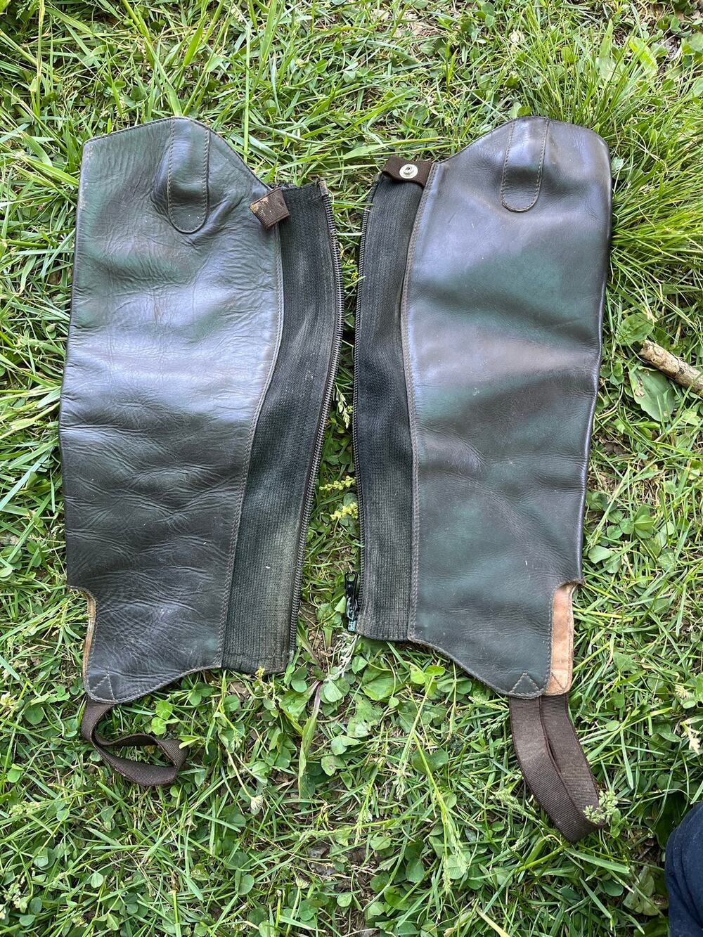 Leather Half Chaps 16”